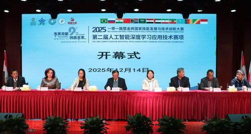 技能交融 創新引領——2025一帶一路暨金磚國家技能發展與技術創新大賽在桐城師專舉辦，技術服務賦能未來